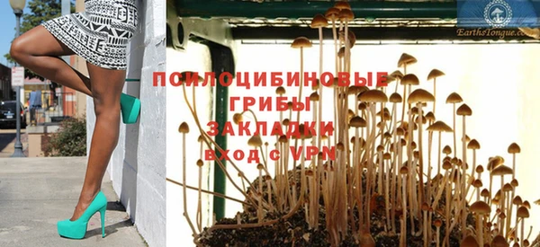 герыч Дмитров