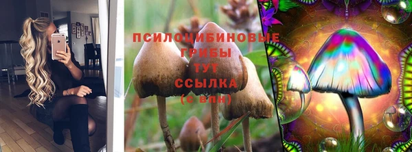 Альфа ПВП Дмитровск