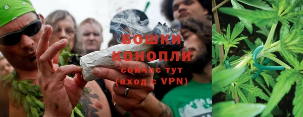 Альфа ПВП Дмитровск